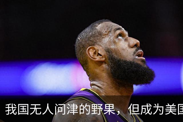 我国无人问津的野果，但成为美国人的心头宝，60元1斤供不应求？