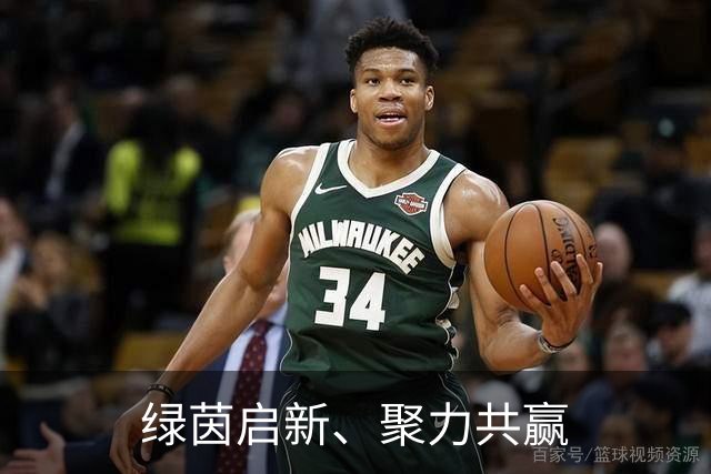 绿茵启新、聚力共赢